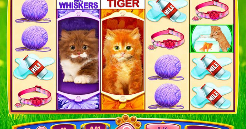 OMG! Kätzchen-Slot online von WMS