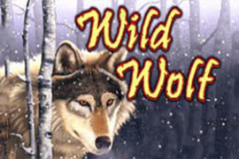 Wo wild Wolf spielt